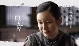 白鹿原电视剧在线观看免费,探寻历史变迁下的家族传奇